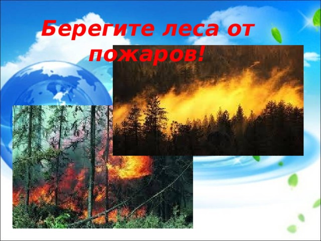Берегите леса от пожаров! 