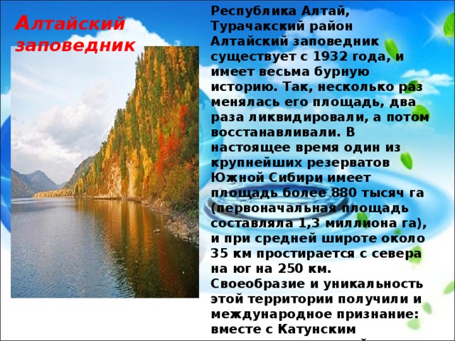 Республика Алтай, Турачакский район Алтайский заповедник существует с 1932 года, и имеет весьма бурную историю. Так, несколько раз менялась его площадь, два раза ликвидировали, а потом восстанавливали. В настоящее время один из крупнейших резерватов Южной Сибири имеет площадь более 880 тысяч га (первоначальная площадь составляла 1,3 миллиона га), и при средней широте около 35 км простирается с севера на юг на 250 км. Своеобразие и уникальность этой территории получили и международное признание: вместе с Катунским заповедником, зоной покоя плоскогорья Укок, Телецким озером и приозерной тайгой, Алтайский заповедник входит в объект Всемирного природного наследия 