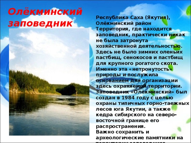 Олёкминский заповедник Республика Саха (Якутия), Олёкминский район Территория, где находится заповедник, практически никак не была затронута хозяйственной деятельностью. Здесь не было зимних оленьих пастбищ, сенокосов и пастбищ для крупного рогатого скота. Именно эта «нетронутость» природы и послужила основанием для организации здесь охраняемой территории. Заповедник «Олёкминский» был создан в 1984 году с целью охраны типичных горно-таежных лесов юга Якутии, а также кедра сибирского на северо-восточной границе его распространения. Важно сохранить и археологические памятники на территории заповедника, представленные наскальной живописью. 