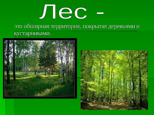  это обширная территория, покрытая деревьями и кустарниками. 