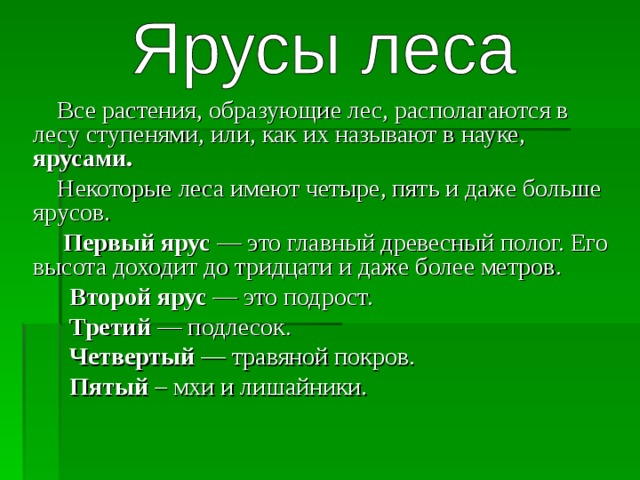  Все растения, образующие лес, располагаются в лесу ступенями, или, как их называют в науке, ярусами.   Некоторые леса имеют четыре, пять и даже больше ярусов.  Первый ярус — это главный древесный полог. Его высота доходит до тридцати и даже более метров.  Второй ярус — это подрост.  Третий — подлесок.  Четвертый — травяной покров.  Пятый – мхи и лишайники. 