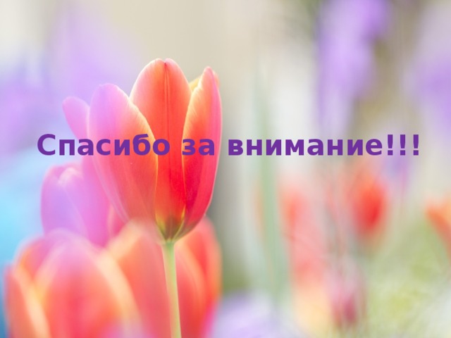 Спасибо за внимание!!! 