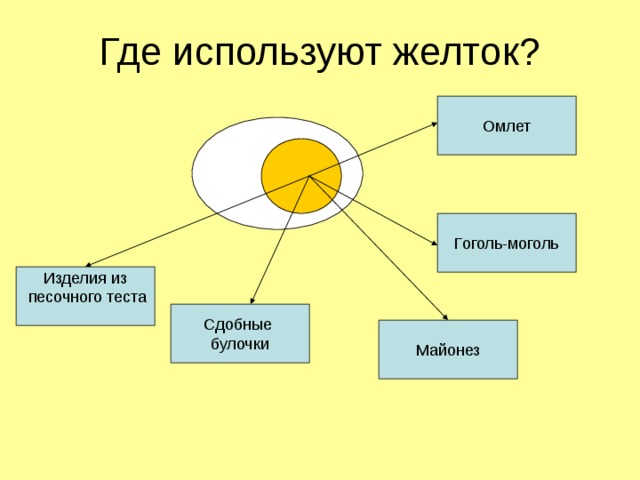 Где используют желток? Омлет Гоголь-моголь Изделия из  песочного теста Сдобные булочки Майонез 