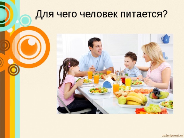 Для чего человек питается? 