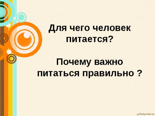 Для чего человек питается?  Почему важно питаться правильно ?   