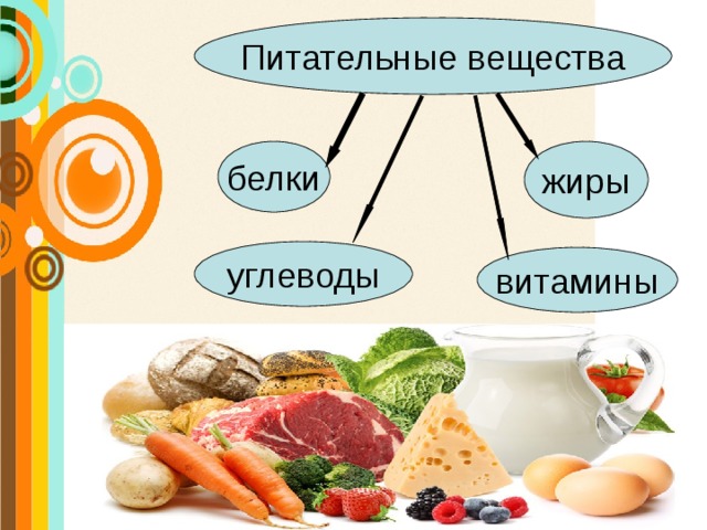 Питательные вещества белки жиры углеводы витамины 