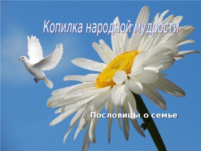 Пословицы о семье 
