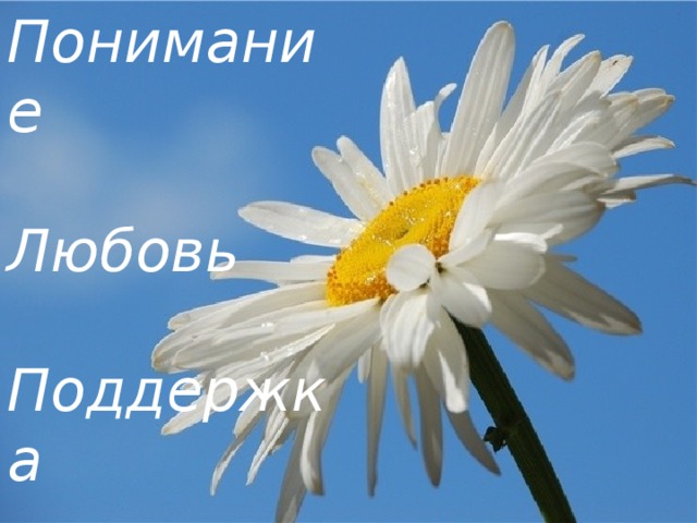 Понимание Любовь Поддержка Уважение 