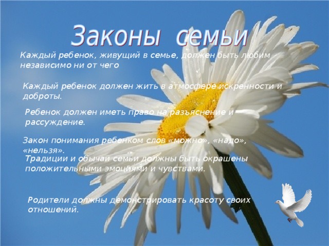 Каждый ребенок, живущий в семье, должен быть любим независимо ни от чего Каждый ребенок должен жить в атмосфере искренности и доброты. Ребенок должен иметь право на разъяснение и рассуждение. Закон понимания ребенком слов «можно», «надо», «нельзя». Традиции и обычаи семьи должны быть окрашены положительными эмоциями и чувствами. Родители должны демонстрировать красоту своих отношений. 
