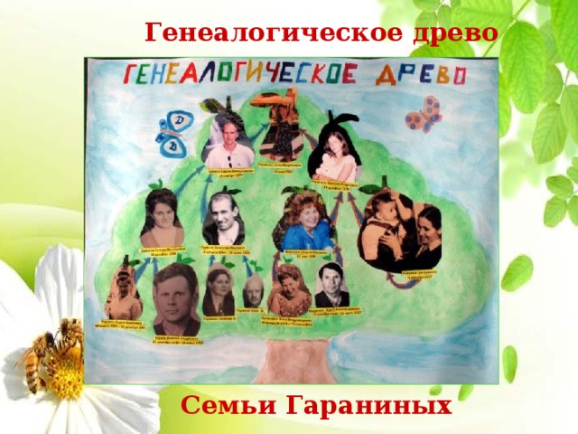 Генеалогическое древо Семьи Гараниных 