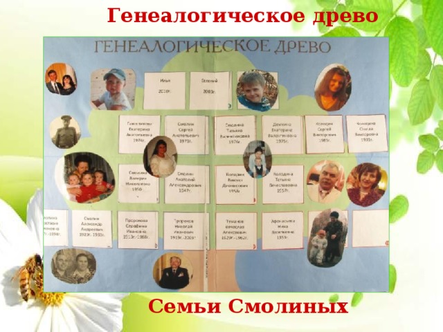 Генеалогическое древо Семьи Смолиных 
