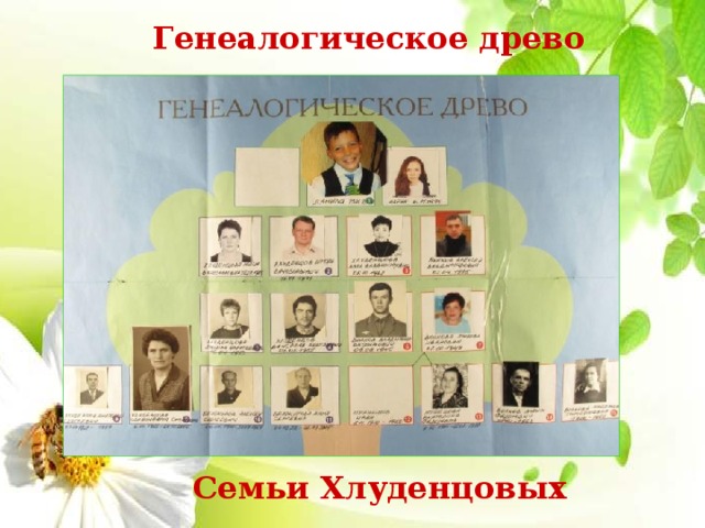 Генеалогическое древо Семьи Хлуденцовых 