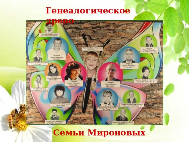 Генеалогическое древо  Семьи Мироновых 