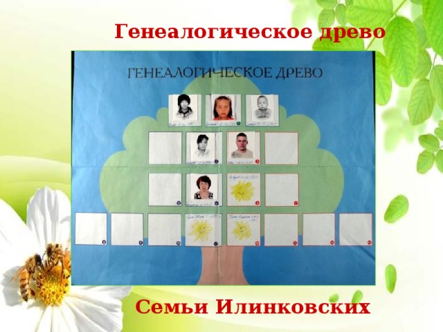 Генеалогическое древо Семьи Илинковских 