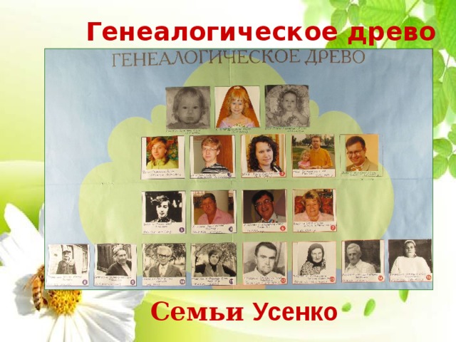 Генеалогическое древо Семьи Усенко 