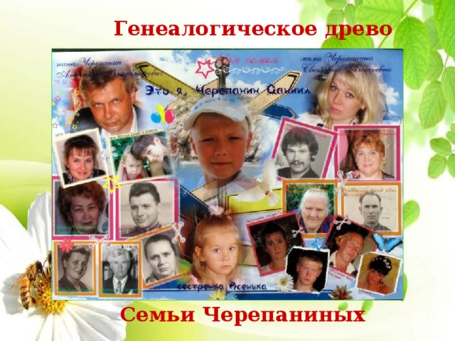 Генеалогическое древо Семьи Черепаниных 