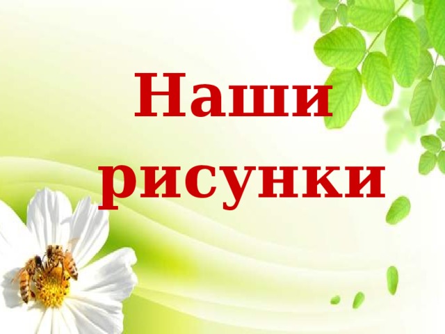 Наши рисунки 