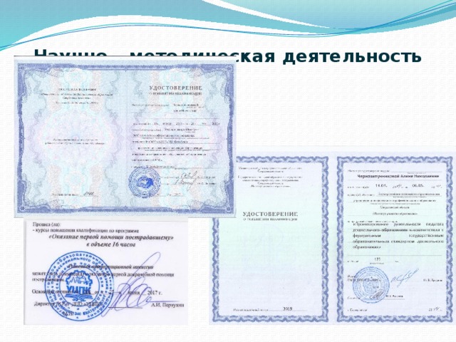 Научно – методическая деятельность   