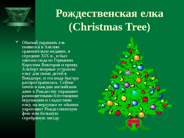 Рождественская елка  (Christmas Tree) Обычай украшать ель появился в Англии сравнительно недавно, в середине XIX в., и был завезен сюда из Германии. Королева Виктория и принц Альберт впервые устроили елку для своих детей в Виндзоре, и эта мода быстро распространилась. Сейчас почти в каждом английском доме к Рождеству украшают разноцветными блестящими игрушками и сладостями елку, на верхушке ее обычно укрепляют Рождественскую фею или большую серебряную звезду.   
