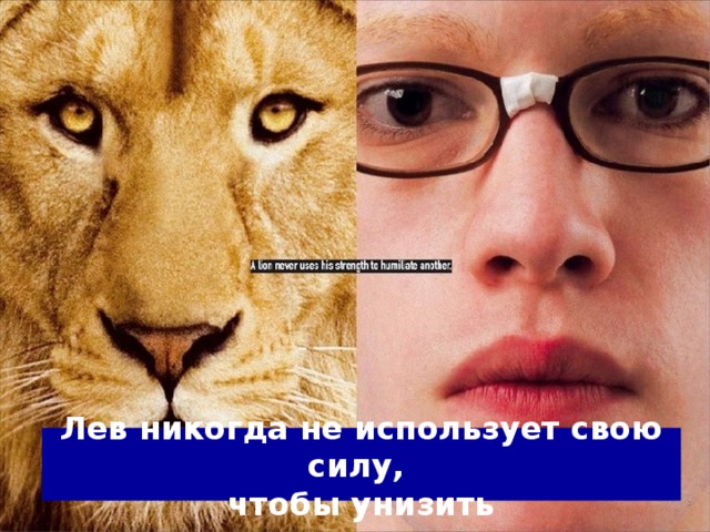 Лев никогда не использует свою силу,  чтобы унизить 