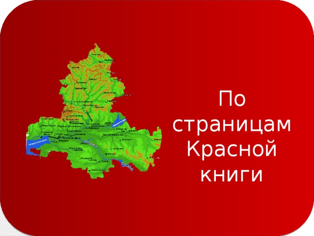 По страницам Красной книги 