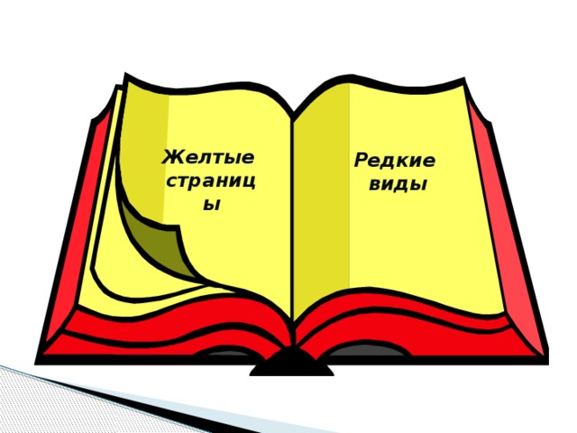 Желтые страницы Редкие виды 