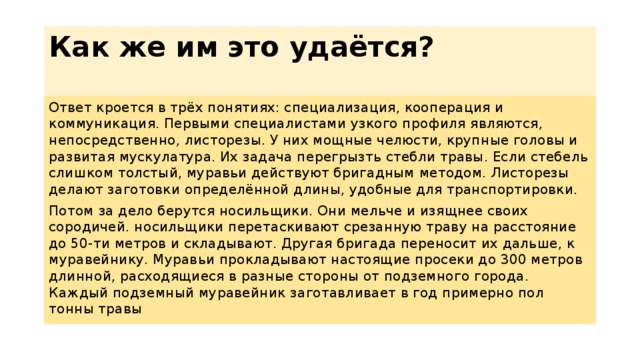 Как же им это удаётся?   Ответ кроется в трёх понятиях: специализация, кооперация и коммуникация. Первыми специалистами узкого профиля являются, непосредственно, листорезы. У них мощные челюсти, крупные головы и развитая мускулатура. Их задача перегрызть стебли травы. Если стебель слишком толстый, муравьи действуют бригадным методом. Листорезы делают заготовки определённой длины, удобные для транспортировки. Потом за дело берутся носильщики. Они мельче и изящнее своих сородичей. носильщики перетаскивают срезанную траву на расстояние до 50-ти метров и складывают. Другая бригада переносит их дальше, к муравейнику. Муравьи прокладывают настоящие просеки до 300 метров длинной, расходящиеся в разные стороны от подземного города. Каждый подземный муравейник заготавливает в год примерно пол тонны травы 