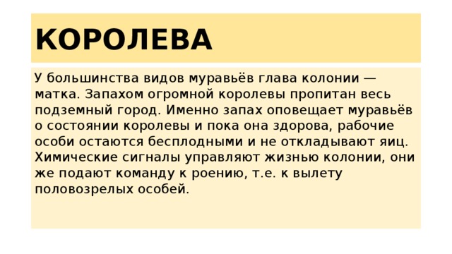 КОРОЛЕВА У большинства видов муравьёв глава колонии — матка. Запахом огромной королевы пропитан весь подземный город. Именно запах оповещает муравьёв о состоянии королевы и пока она здорова, рабочие особи остаются бесплодными и не откладывают яиц. Химические сигналы управляют жизнью колонии, они же подают команду к роению, т.е. к вылету половозрелых особей. 