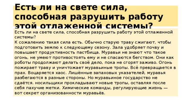 Есть ли на свете сила, способная разрушить работу этой отлаженной системы? Есть ли на свете сила, способная разрушить работу этой отлаженной системы?  К сожалению такая сила есть. Обычно старую траву сжигают, чтобы подготовить землю к следующему сезону. Зала удобряет почву и повышает продуктивность пастбища. Муравьи не знают что такое огонь, не умеют противостоять ему и не спасаются бегством. Они как роботы продолжают делать своё дело, пока не сгорят заживо. Огонь пожирает траву и уничтожает муравьиные тропы. Всё превращается в прах. Воцаряется хаос. Лишённые запаховых указателей, муравья разбегаются в разные стороны. Но муравьиное государство не сдаётся. носильщики прокладывают новые тропы, оставляя после себя пахучие метки. Химические команды, регулирующие жизнь — вот секрет организованности муравьёв. 