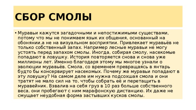 СБОР СМОЛЫ Муравьи кажутся загадочными и непостижимыми существами, потому что мы не понимаем язык их общения, основанный на обонянии,а не на визуальном восприятии. Привлекает муравьёв не только собственный запах. Например лесные муравьи не могу устоять перед запахом смолы. Иногда, собирая смолу, насекомые попадают в ловушку. История повторяется снова и снова уже миллионы лет. Именно благодаря этому мы многое узнали о эволюции муравьёв. Смола, со временем превращаясь в янтарь будто бы консервирует насекомых. Почему же муравьи попадают в эту ловушку? На самом деле им нужна подсохшая смола и они тратят не мало сил на то, чтобы собрать её и перетащить в муравейник. Взвалив на себя груз в 10 раз больше собственного веса, они пробегают с ним марафонскую дистанцию. Их даже не смущает неудобная форма застывших кусков смолы. 
