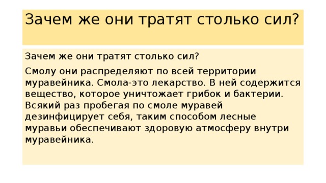 Зачем же они тратят столько сил?   Зачем же они тратят столько сил? Смолу они распределяют по всей территории муравейника. Смола-это лекарство. В ней содержится вещество, которое уничтожает грибок и бактерии. Всякий раз пробегая по смоле муравей дезинфицирует себя, таким способом лесные муравьи обеспечивают здоровую атмосферу внутри муравейника. 