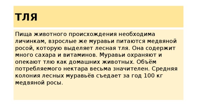 ТЛЯ Пища животного происхождения необходима личинкам, взрослые же муравьи питаются медвяной росой, которую выделяет лесная тля. Она содержит много сахара и витаминов. Муравьи охраняют и опекают тлю как домашних животных. Объём потребляемого нектара весьма значителен. Средняя колония лесных муравьёв съедает за год 100 кг медвяной росы. 