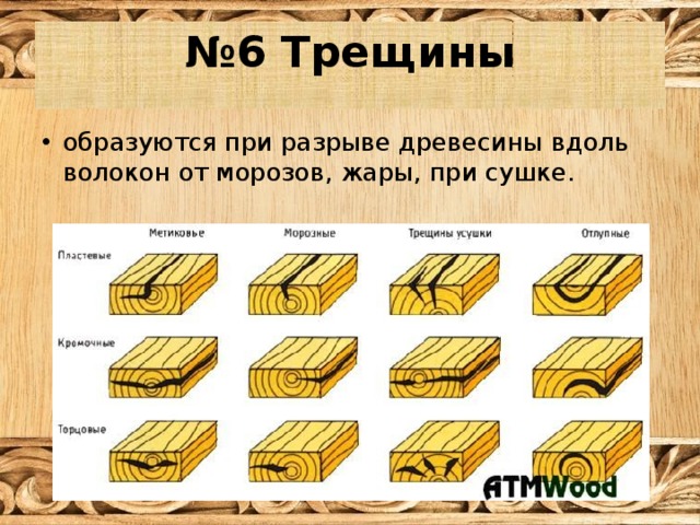№ 6 Трещины образуются при разрыве древесины вдоль волокон от морозов, жары, при сушке. 