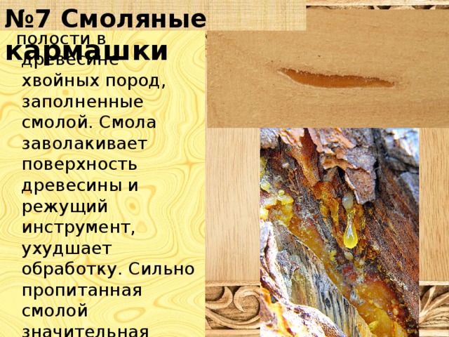 № 7 Смоляные кармашки  полости в древесине хвойных пород, заполненные смолой. Смола заволакивает поверхность древесины и режущий инструмент, ухудшает обработку. Сильно пропитанная смолой значительная часть древесины называется засмолком. Образуется засмолок в местах ранения хвойных деревьев. 