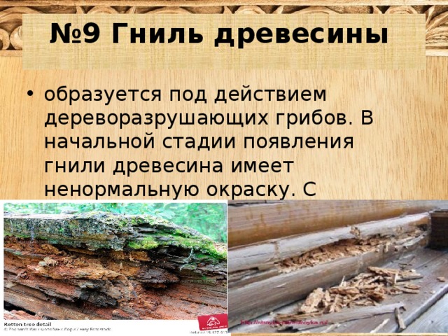 № 9 Гниль древесины образуется под действием дереворазрушающих грибов. В начальной стадии появления гнили древесина имеет ненормальную окраску. С течением времени она превращается в труху. 
