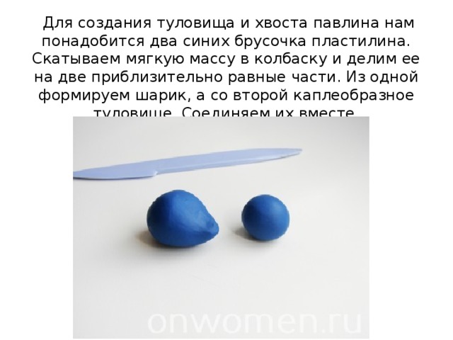   Для создания туловища и хвоста павлина нам понадобится два синих брусочка пластилина. Скатываем мягкую массу в колбаску и делим ее на две приблизительно равные части. Из одной формируем шарик, а со второй каплеобразное туловище. Соединяем их вместе. 
