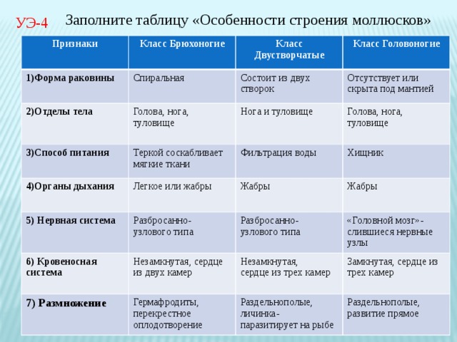 Задание 1 . Выберите из предложенного списка названия видов животных, относящихся к типу Плоские, Круглые или Кольчатые черви, в зависимости от вашего варианта.  В ответе запишите только буквы.  ( Время выполнения 3 минуты)  А) бычий цепень ж) стеблевая нематода Б) нереида з) пескожил В) дождевой червь и) человеческая аскарида Г) острица к) печеночный сосальщик Д) свиной цепень л) пиявка медицинская Е) белая планария м) ришта