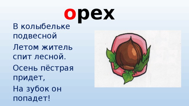 о рех В колыбельке подвесной Летом житель спит лесной. Осень пёстрая придет, На зубок он попадет!