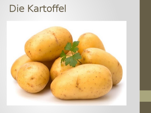 Die Kartoffel   