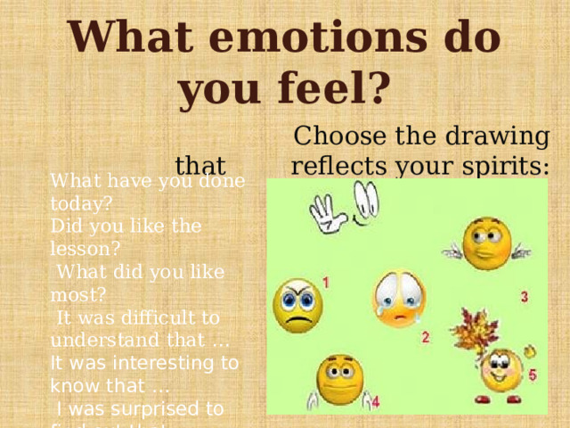 What emotions do you feel?  Choose the drawing that reflects your spirits: What have you done today? Did you like the lesson?  What did you like most?  It was difficult to understand that …  It was interesting to know that …  I was surprised to find out that … 