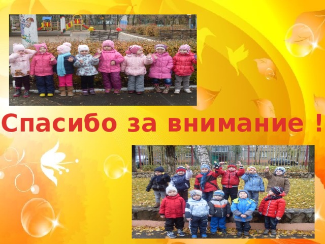 Спасибо за внимание !  