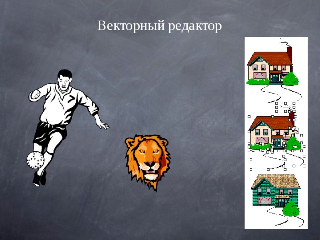 Векторный редактор 