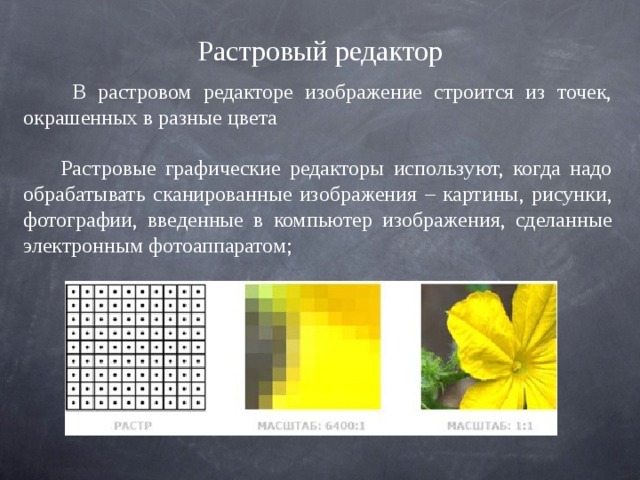 Растровый редактор  В растровом редакторе изображение строится из точек, окрашенных в разные цвета Растровые графические редакторы используют, когда надо обрабатывать сканированные изображения – картины, рисунки, фотографии, введенные в компьютер изображения, сделанные электронным фотоаппаратом; 