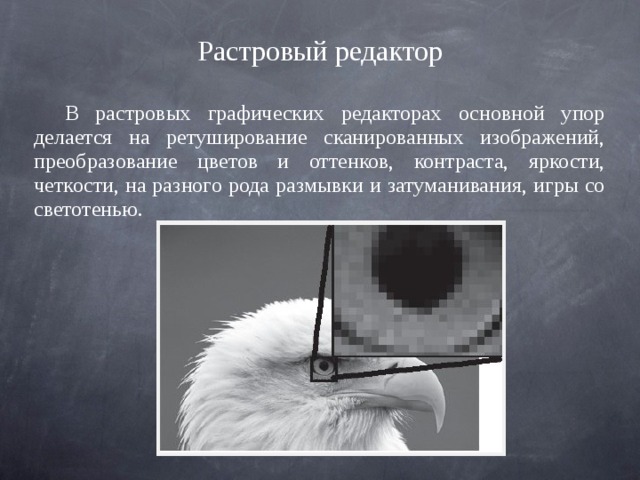 В растровых графических редакторах основной упор делается на ретуширование сканированных изображений, преобразование цветов и оттенков, контраста, яркости, четкости, на разного рода размывки и затуманивания, игры со светотенью. Растровый редактор 