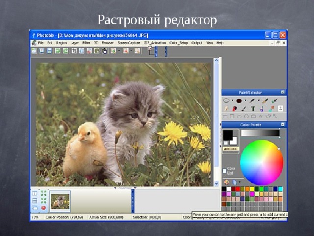 Растровый редактор 