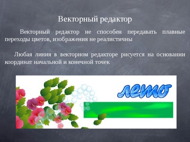Векторный редактор  Векторный редактор не способен передавать плавные переходы цветов, изображения не реалистичны Любая линия в векторном редакторе рисуется на основании координат начальной и конечной точек 