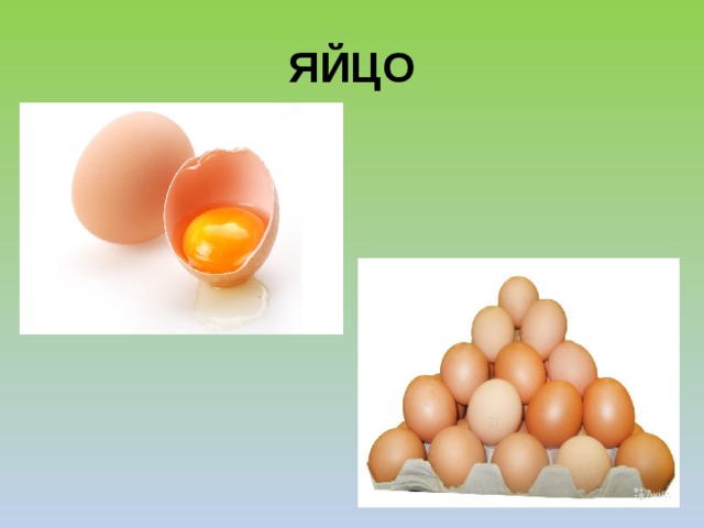 ЯЙЦО 