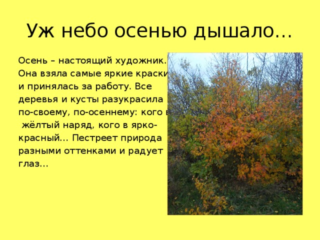 Уж небо осенью дышало… Осень – настоящий художник. Она взяла самые яркие краски и принялась за работу. Все деревья и кусты разукрасила по-своему, по-осеннему: кого в  жёлтый наряд, кого в ярко- красный… Пестреет природа разными оттенками и радует глаз… 