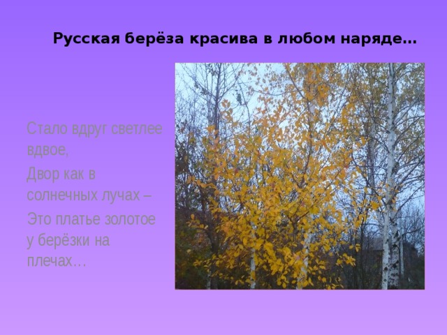  Русская берёза красива в любом наряде… Стало вдруг светлее вдвое, Двор как в солнечных лучах – Это платье золотое у берёзки на плечах… 