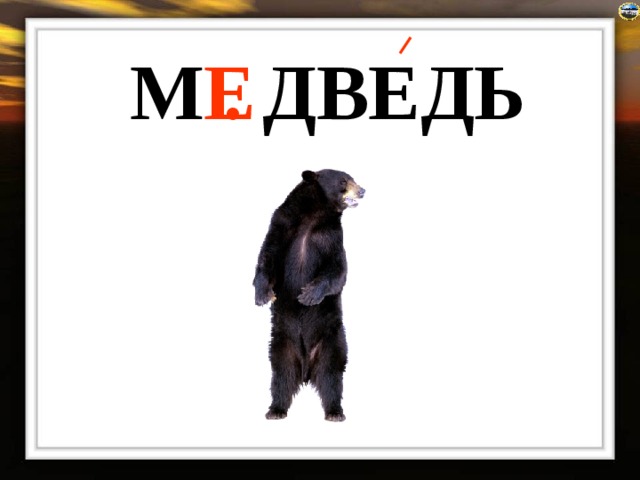 М . ДВЕДЬ Е  